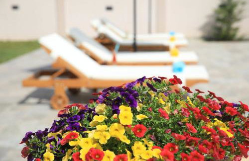 Holiday House Tamaris - Photo 21