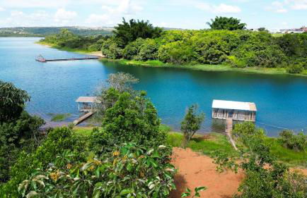 Casa Ipê Amarelo - Foto 1