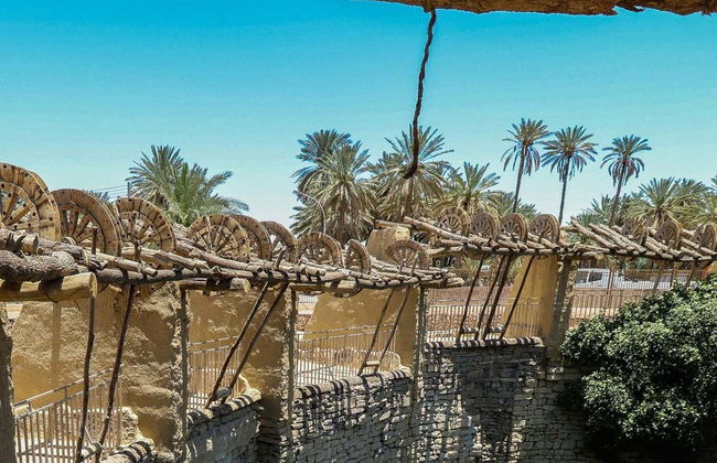 Escursione a Tayma - Foto 8