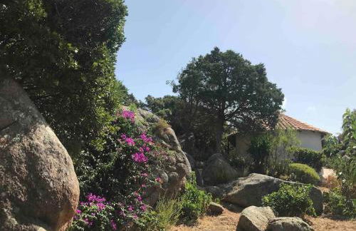 Maison de vacances dans village AUTHENTIQUE Corse - Foto 26