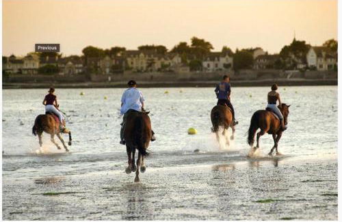 Les pieds dans le sable - Photo 20