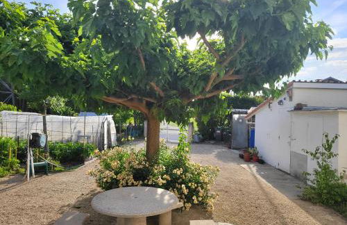 GITE VENITIA T2 - Foto 26