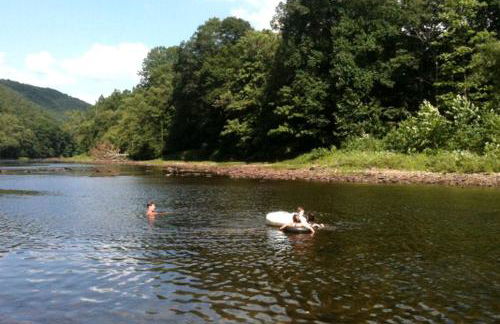Secluded Cabin Rental with Hot Tub on Cranberry Mountain in West Virginia - Foto 38