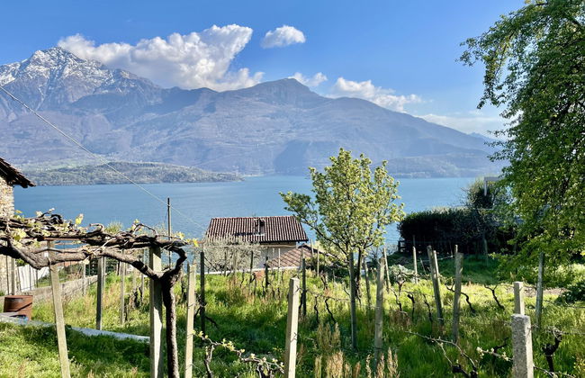 Alla Fontana - Foto 20