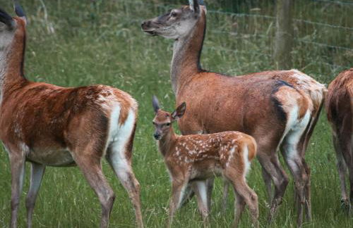 1 Bed in Abberley 89033 - Photo 22