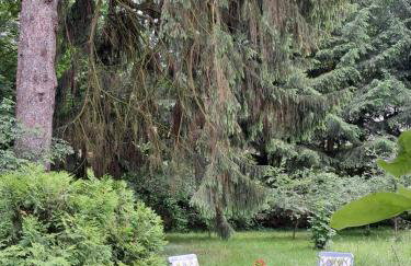 Przy pałacu - Foto 23