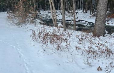 Twin Pines Lake Resort 1 - Foto 35