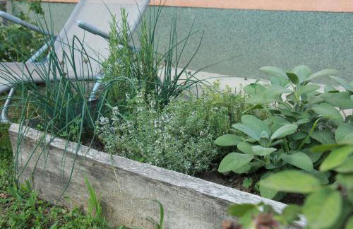 Kuća za odmor Botanika - Photo 10