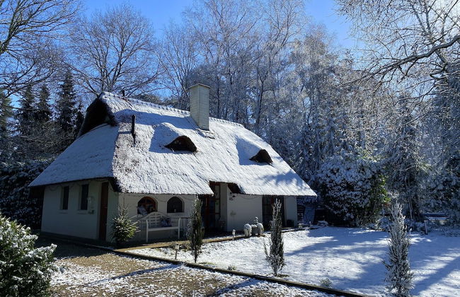 Holiday Home in Uelsen Near Bronzezeithof - Foto 33