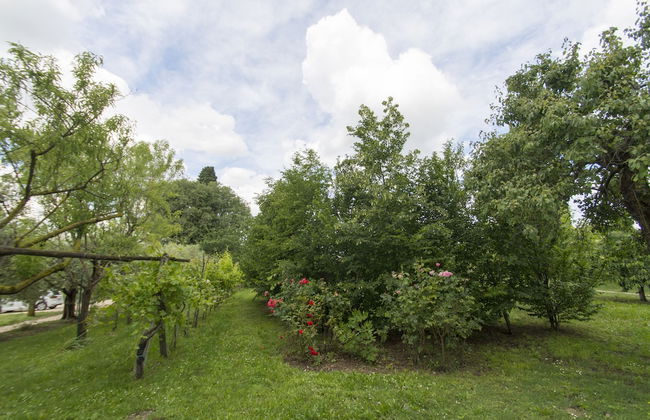 Tenuta EnGi - Foto 40