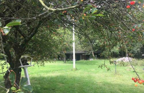 Petit gîte Sables d' Or 600m plage - Foto 9