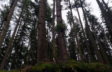 Talblick & Ruhe in Hirschhorn Langenthal - Foto 15