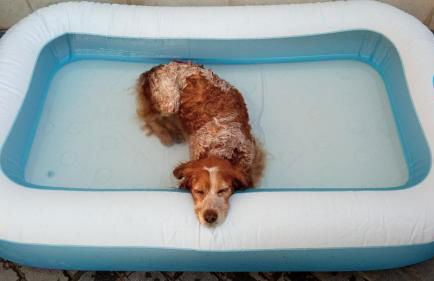 Casa Rural Goñi - Foto 27