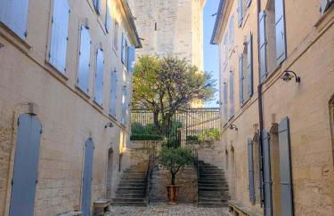 La DAME de FLAUX - Foto 10