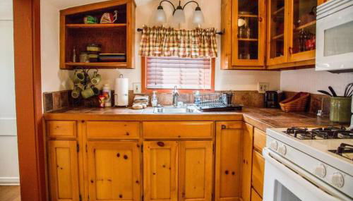 Prospect Cabin, Cozy 1-bedroom cabin with kitchen Dogs OK - Foto 4