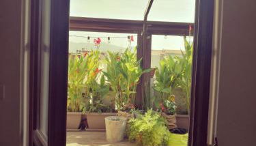 Floorplan B - 208 - Photo 5