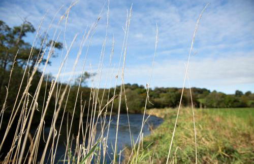 Felin Gogoyan - Photo 31