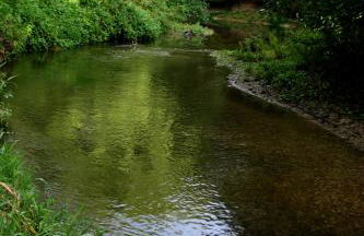 Château Le Brun - Loire Valley and vineyards - Foto 35