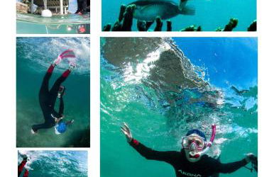 Dog friendly condo with beach access, hot tub, firepit - Foto 37