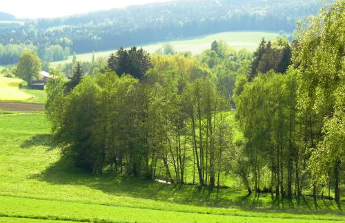 Ferienhof Obertennersreuth - Foto 12