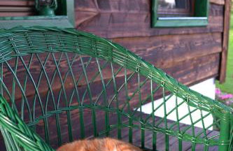 Na końcu świata - Foto 38