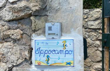 Ippocampo Blanc - Foto 5