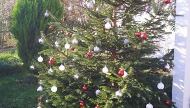 El Rinconin de Degu - Photo 5