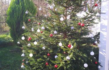 El Rinconin de Degu - Photo 5