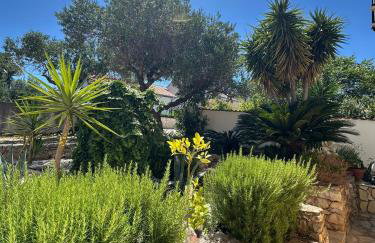 Apartments Brač - Photo 12