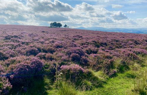 The Old Post Office, Cosy Cottage in Northumberland, Near Coast, Dog Friendly - Photo 38