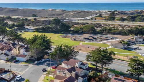 Succulents and Seashells - Coastal Paradise by Beach - Foto 2