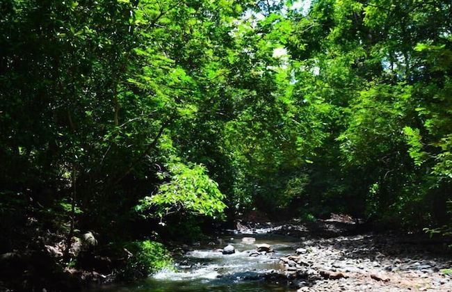 Casa Brillasol Samara - Foto 16