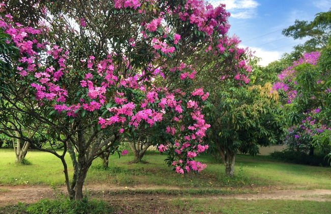 Near2Numbi - Foto 76