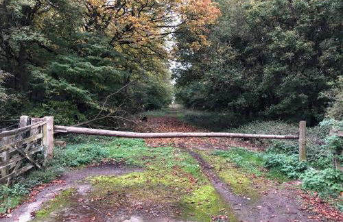 Moo Cow Cottage Self Catering - Photo 33