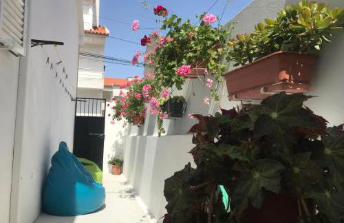 Casa dos Capinha - Photo 10