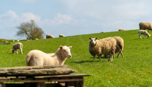 Chalet Lodge 4 - Hot Tub Lodge by Interhome - Foto 5