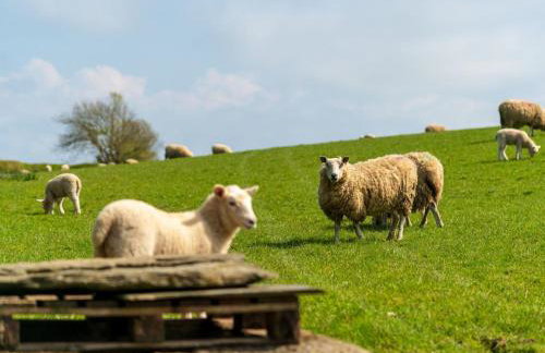 Chalet Lodge 2 - Hot Tub by Interhome - Foto 31