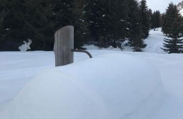 Chalet Apartment Gran Zebrù - Foto 23