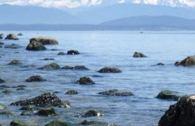 TideAway Farm on Private Island! Escape & Indulge Mother Nature! - Foto 27