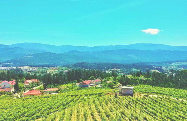 Dégustation de vin à la Quinta de Santa Cristina - Photo 3