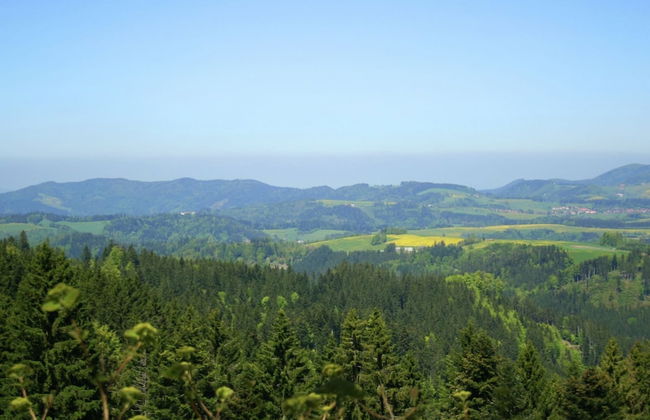 Apartment in Dachsberg-urberg - Foto 22