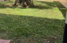 Villa Letizia - Sabaudia - Foto 15