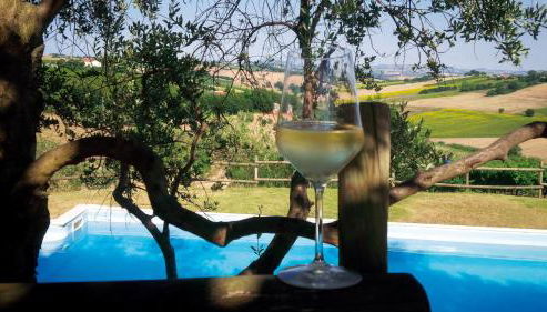 Villa Sant'Elena - Foto 3, Garden, Garden view