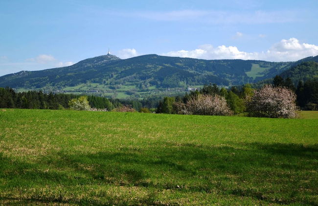 Luxury Villa near Forest in Hlavice Czech Republic - Photo 27