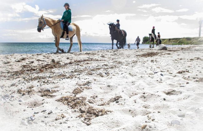 Coastal Comfort With Garden - Foto 25