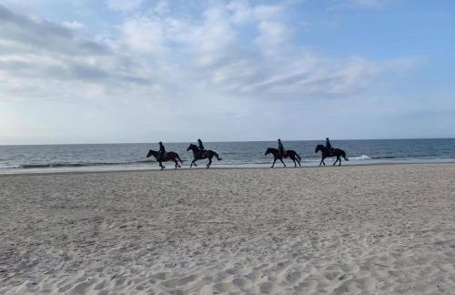 Boho House - Foto 33