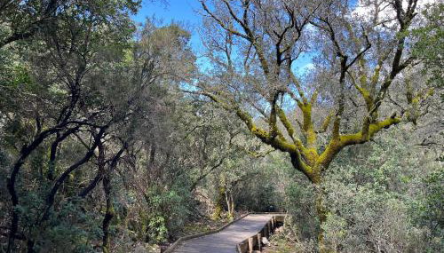 La casina de la alberca - Foto 2