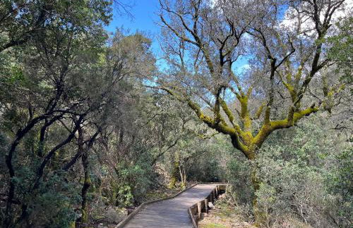 La casina de la alberca - Photo 2