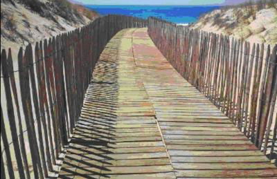 T2 duplex CARCANS Maubuisson vue pins situé au 129 avenue Maubuisson - Foto 9