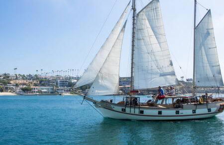 Awesome 3BR 2BTH 1 Block To Beach C2 - Photo 34